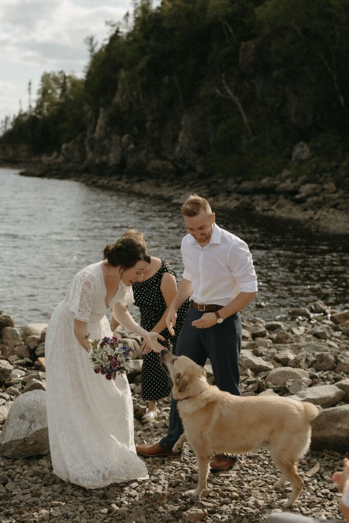 bride pets dog during elopement ceremony on the beach