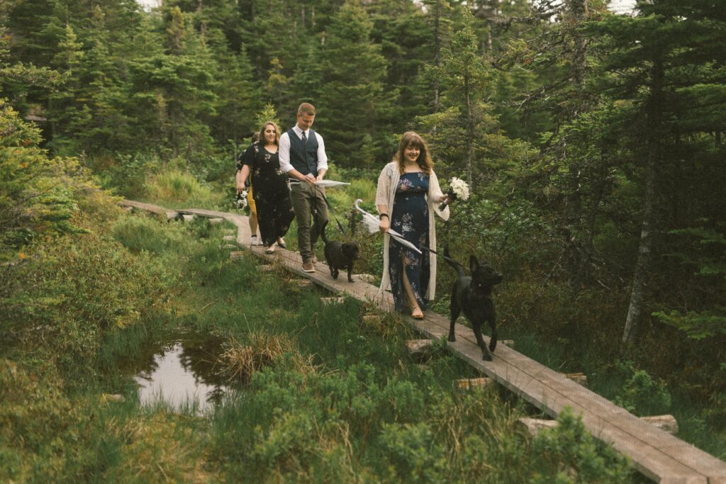 bride and groom hike on a boardwalk in a forest with their dogs on their elopement day