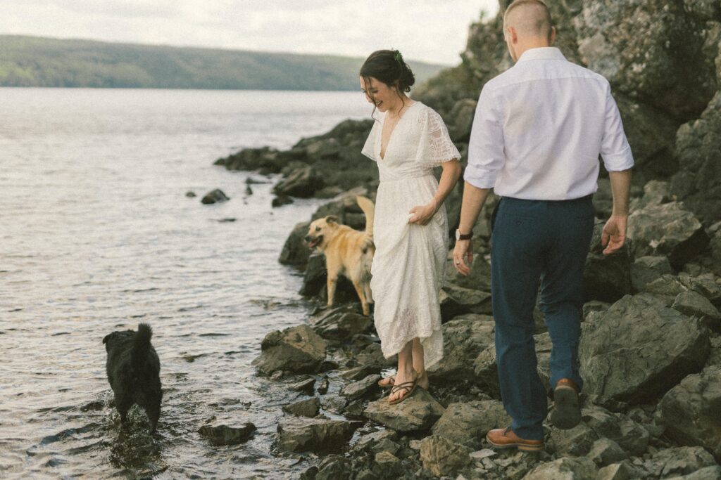 bride and groom explore shoreline with their two dogs during Newfoundland elopement