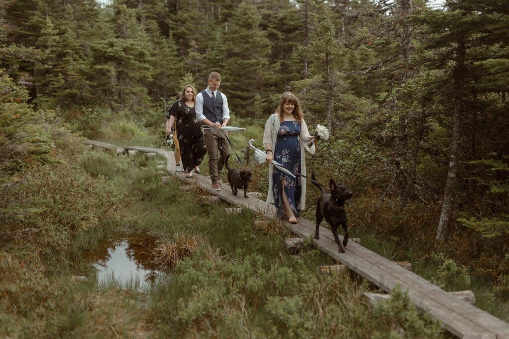 bride and groom hike on a boardwalk in a forest with their dogs on their elopement day