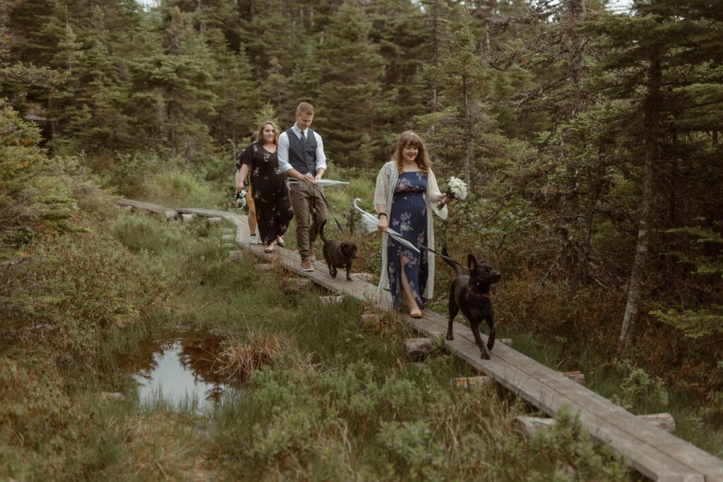 bride and groom hike out to elopement ceremony spot with their dogs