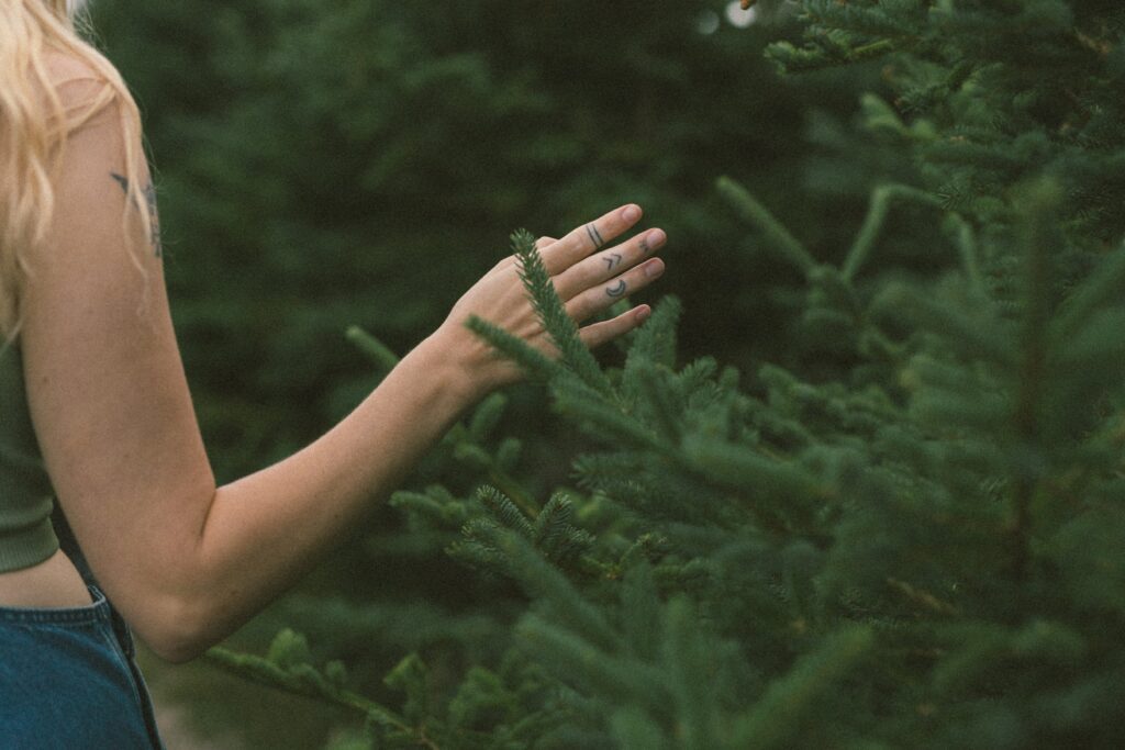 close up of a white woman's hand covered in finger tattoos touching the needles of a spruce tree
