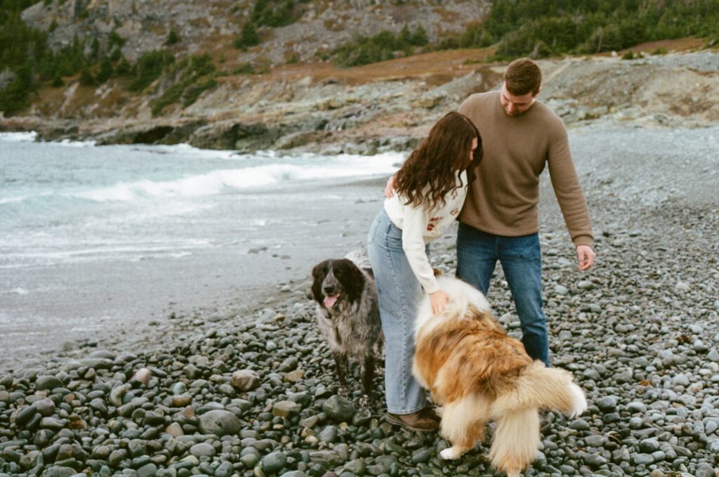 film photo of a couple in hiking attire playing with their dogs on a rocky beach in Newfoundland