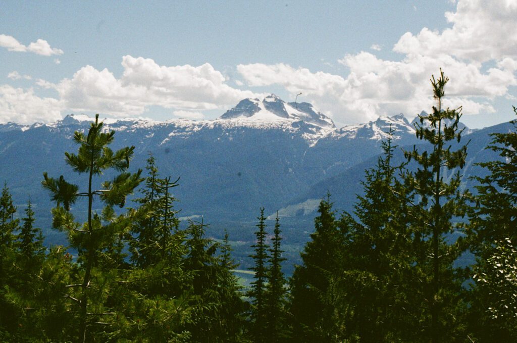 Snow-capped Mount Begbie peeks through the trees in Mount Revelstoke National Park