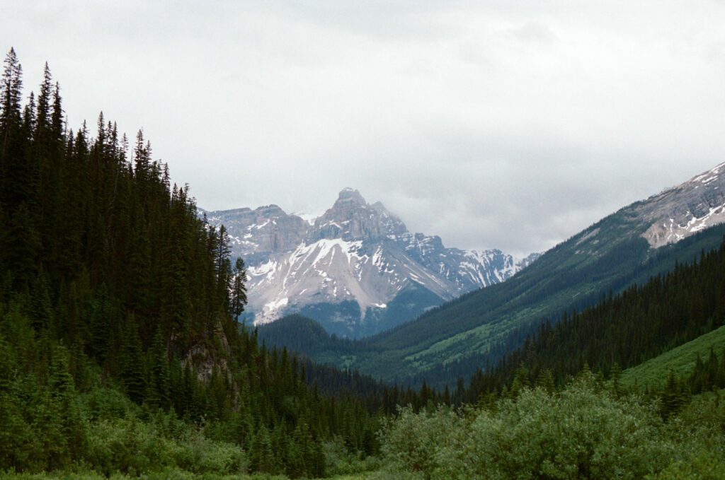 the towering peaks of Yoho National Park are framed by lush green forested hills