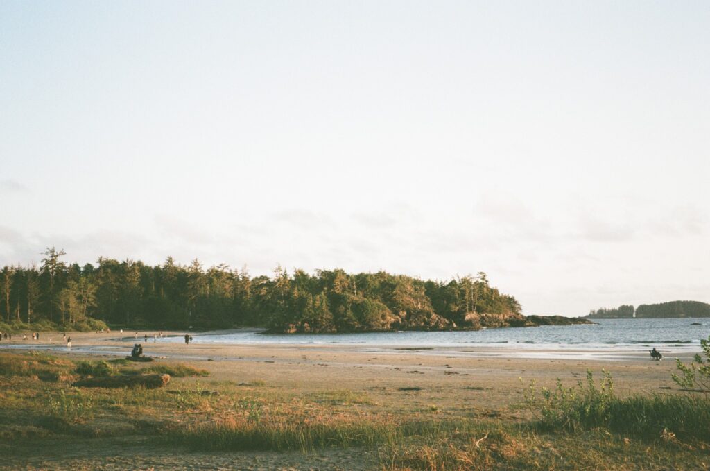 early morning light on a golden beach in Tofino, with surfers in the waves and a forest in the distance.