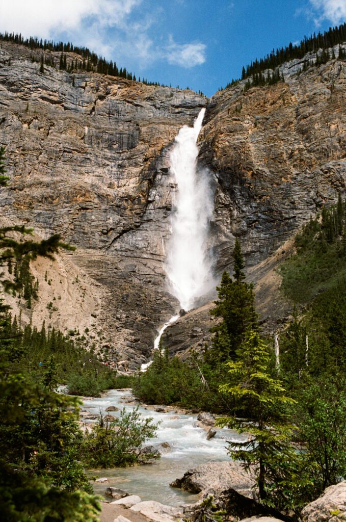 Takakkaw Falls in Yoho National Park cascade down the rock face and into a glacier blue river winding through lush green brush.