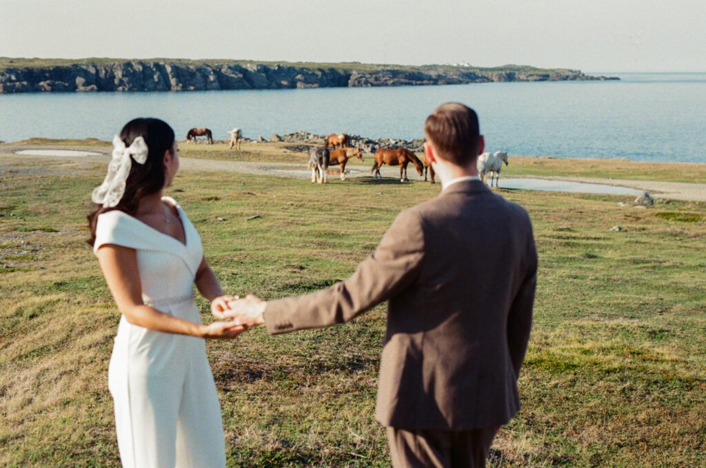 bride and groom walk togther in pasture above the ocean where wild horses roam