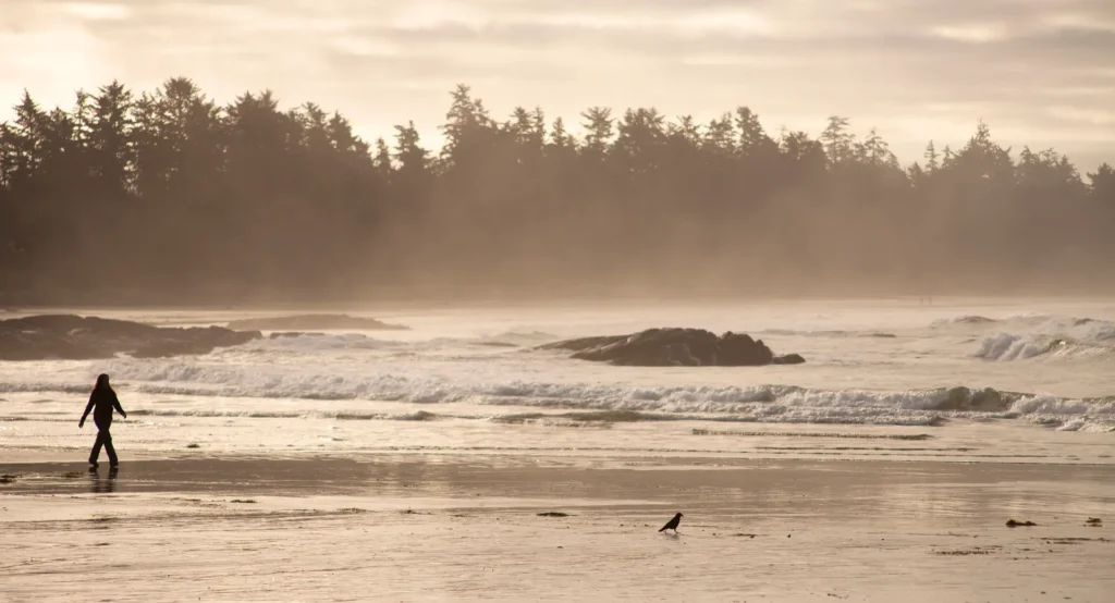 a silhouetted figure walks on a misty beach while waves crash on the shore