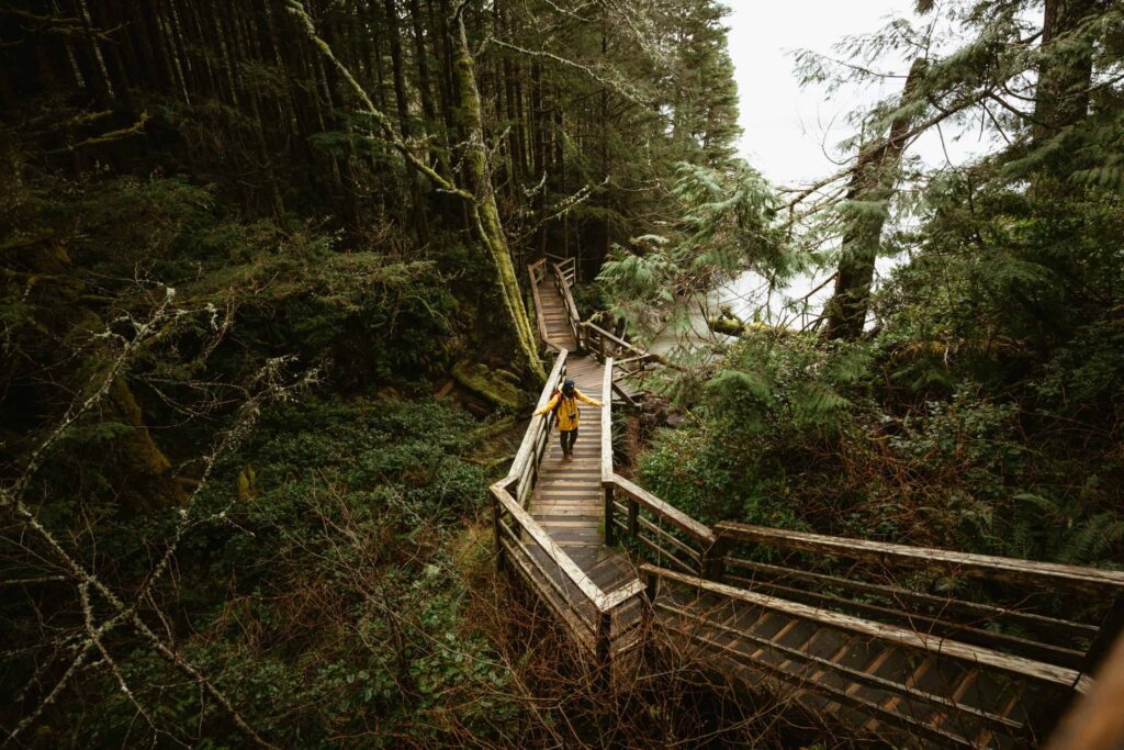 woman walks along a wooden boardwalk in a lush misty forest