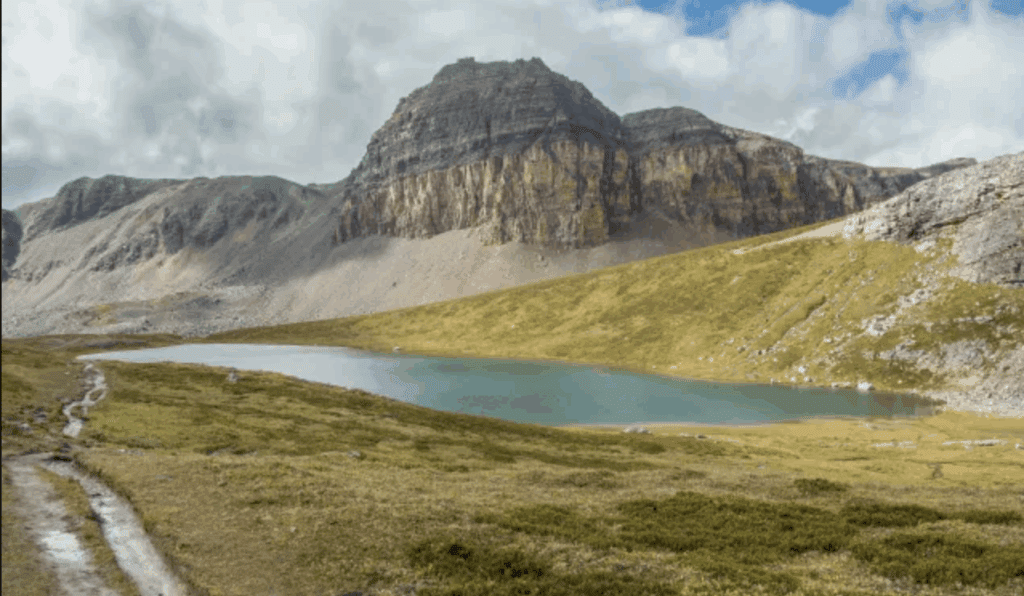alpine meadow with rocky mountains  and a glacier lake in Banff National Park
